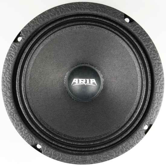 Эстрадная акустика Aria BZ-165NL