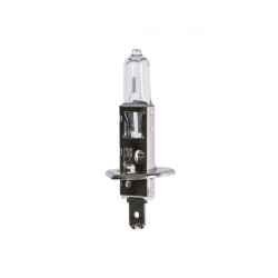 SVS H1 Halogen 12V 55W +30%